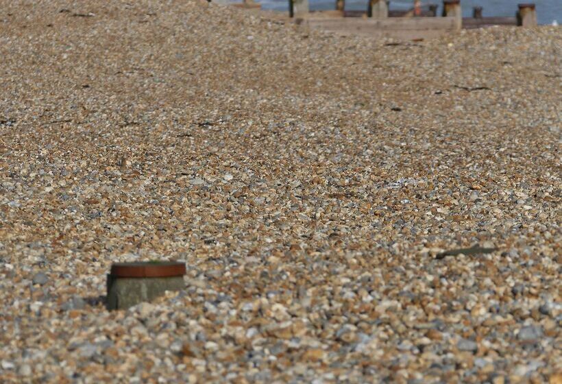 בית מלון כפרי Best Western York House