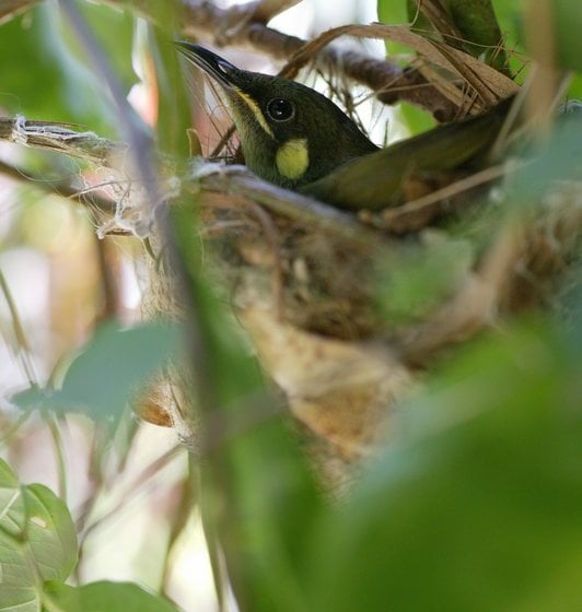 酒店 Bloomfield Lodge Beautifully Remote 