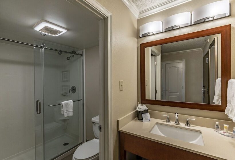 هتل Comfort Inn & Suites At Copeland Tower