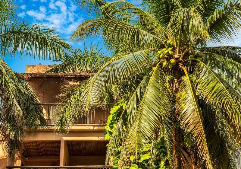 Tukan Hotel Playa Del Carmen