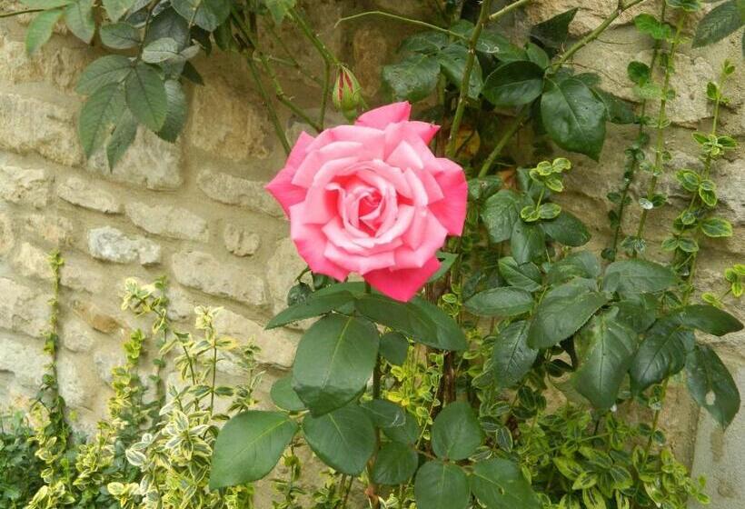 酒店 Kings Head Inn