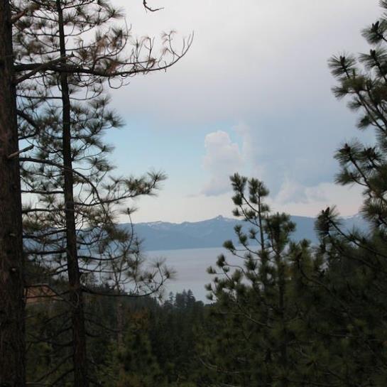 酒店 The Lodge At Lake Tahoe By Vri Americas