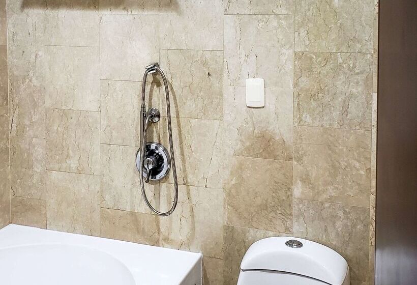 ホテル NH Cali Royal