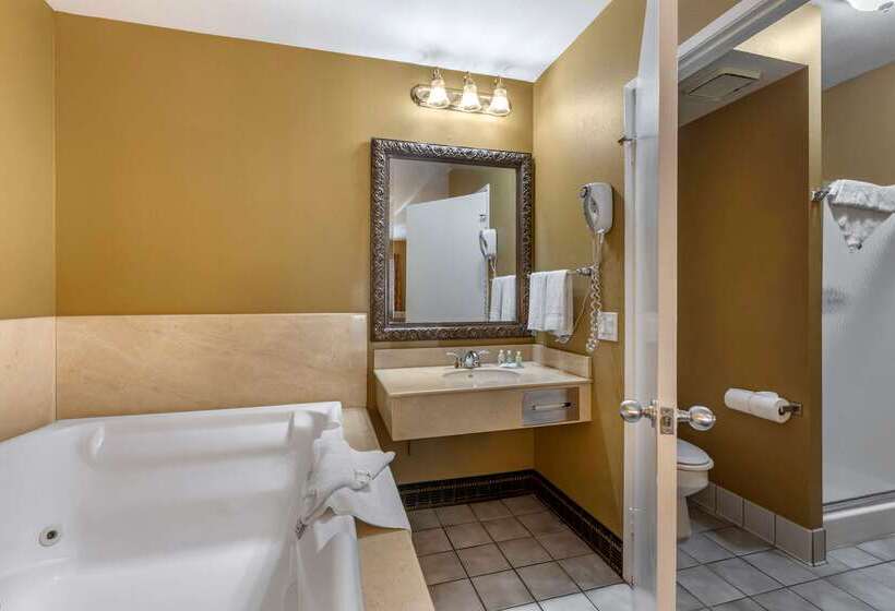 هتل Quality Inn & Suites Westminster Seal Beach