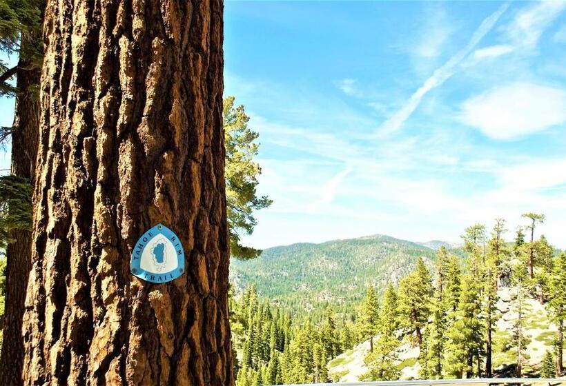 Отель Tahoe Summit Village