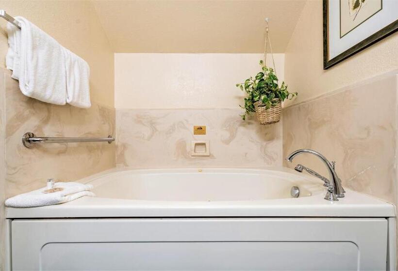 Отель Tahoe Summit Village