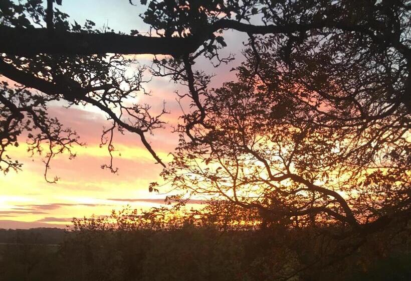 호텔 The Devonport