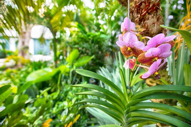 בית מלון כפרי The Gardens