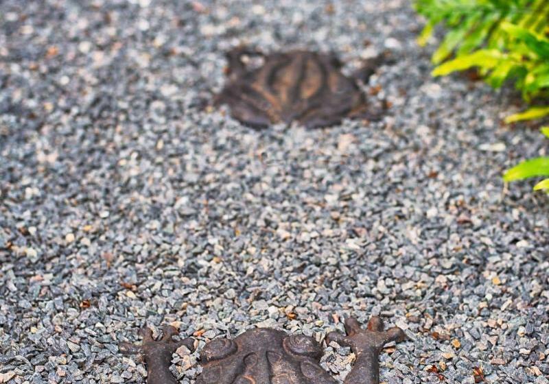 בית מלון כפרי The Gardens