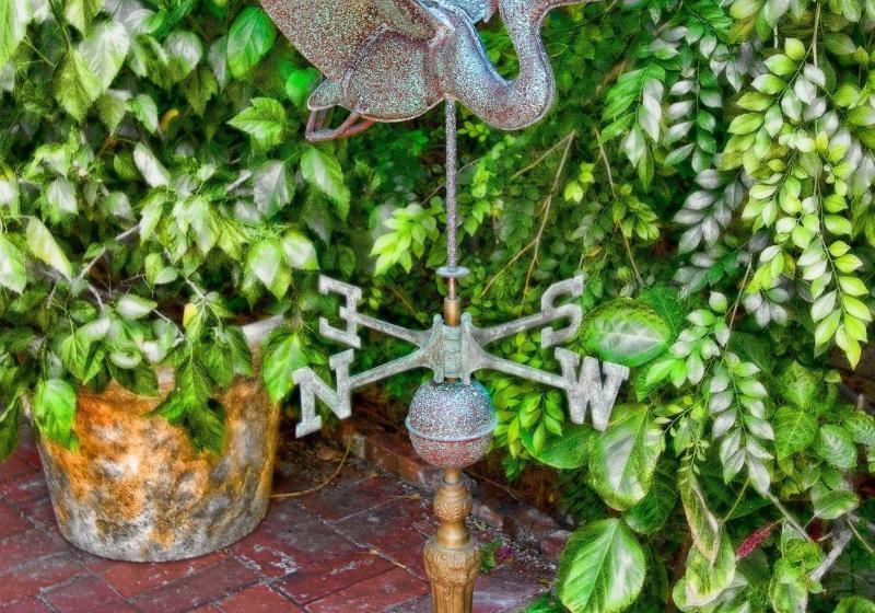 בית מלון כפרי The Gardens