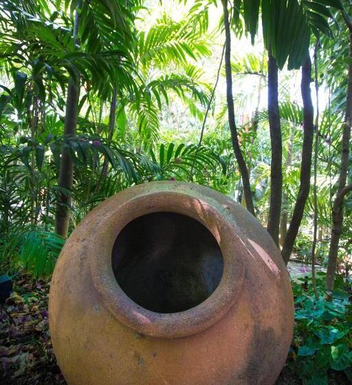 בית מלון כפרי The Gardens