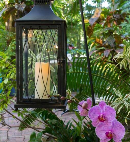 בית מלון כפרי The Gardens