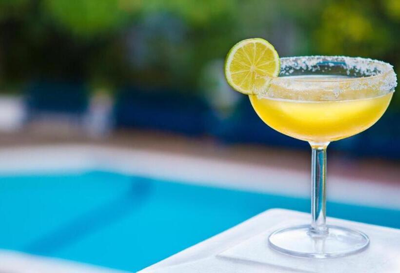 בית מלון כפרי The Gardens