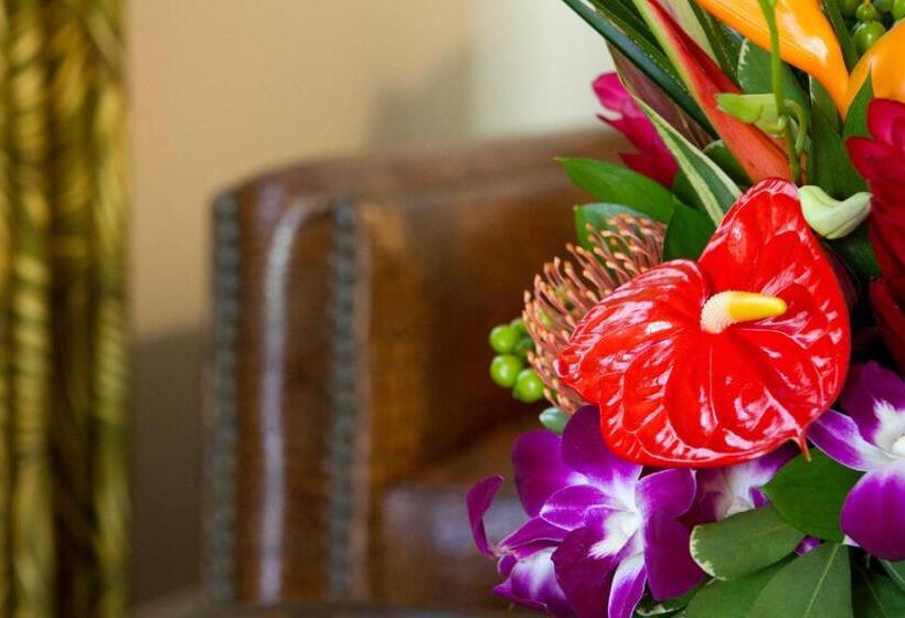 בית מלון כפרי The Gardens