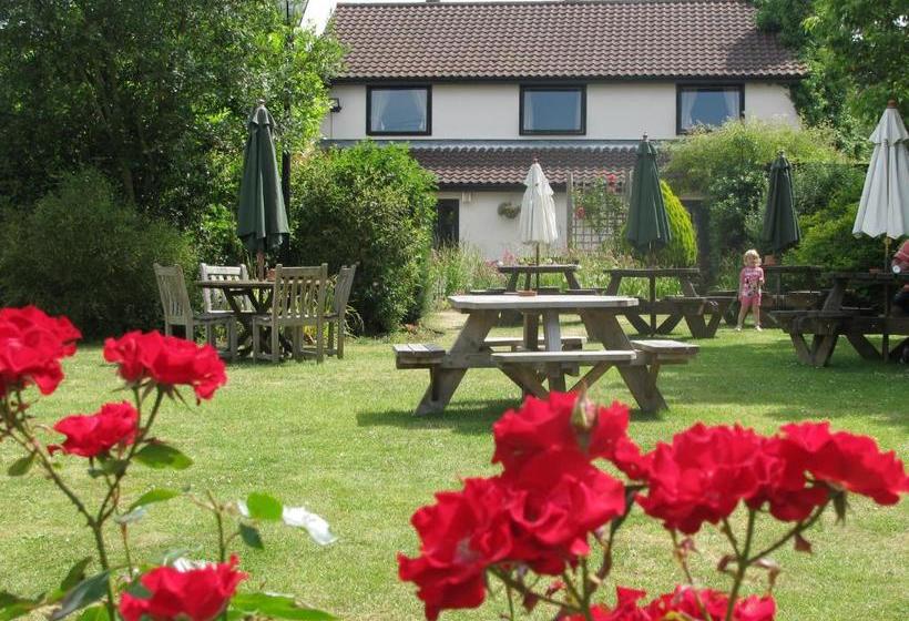 בית מלון כפרי The Plough Inn