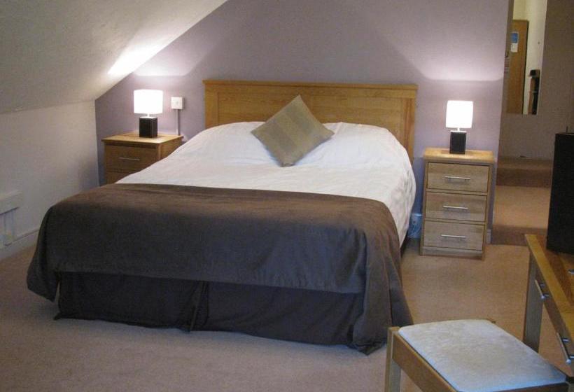 בית מלון כפרי The Plough Inn