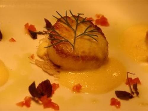 בית מלון כפרי The Squirrel