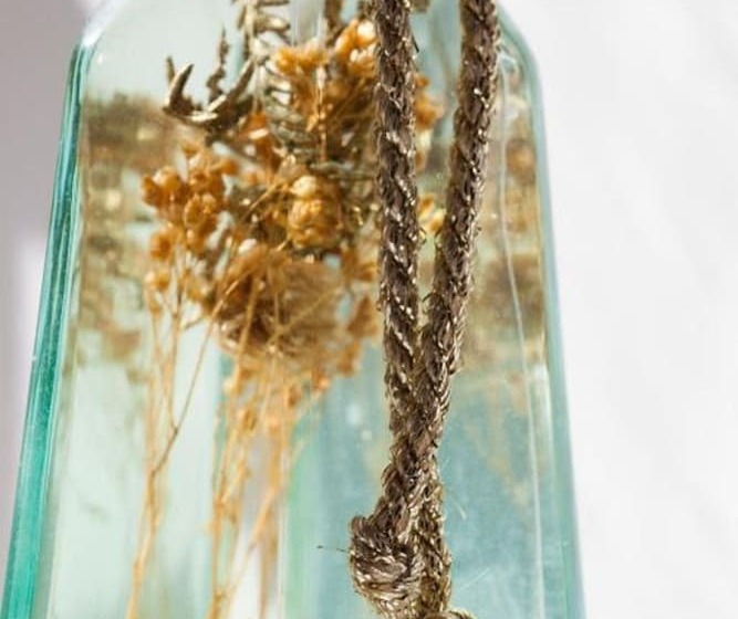 فندق The Wellington