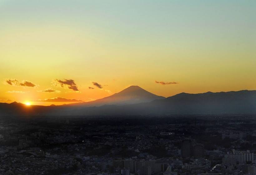 酒店 Yokohama Royal Park