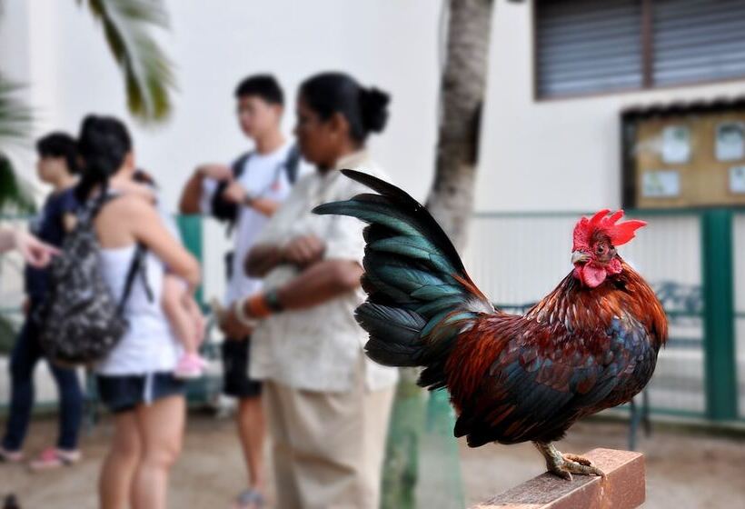 אתר נופש Avillion Port Dickson