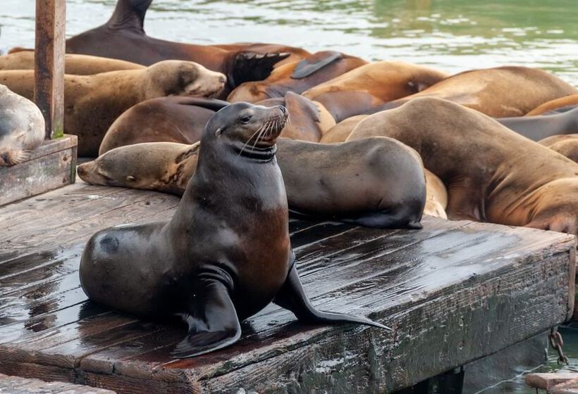 Touchstone Hotel   City Center