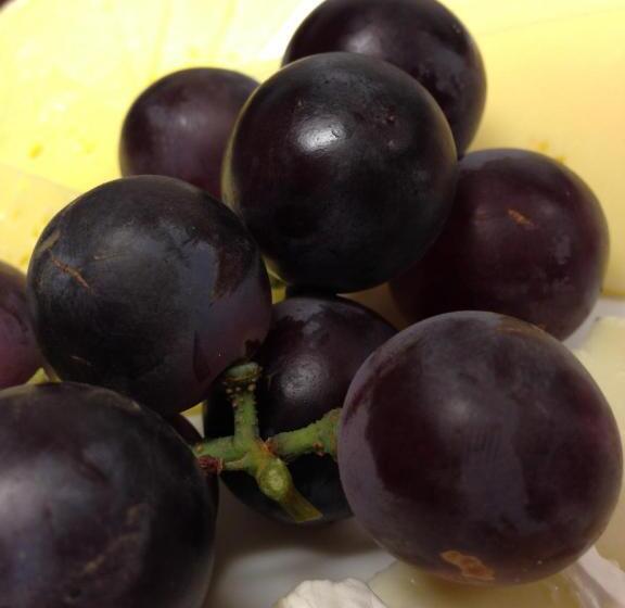 City Hotel Pension Brandenburg