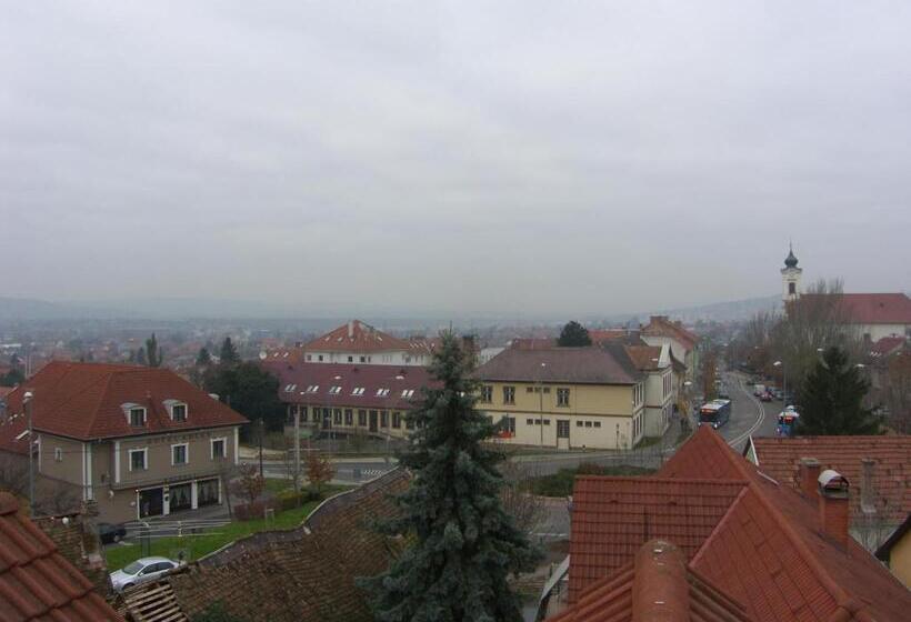 Отель Adler Panzio