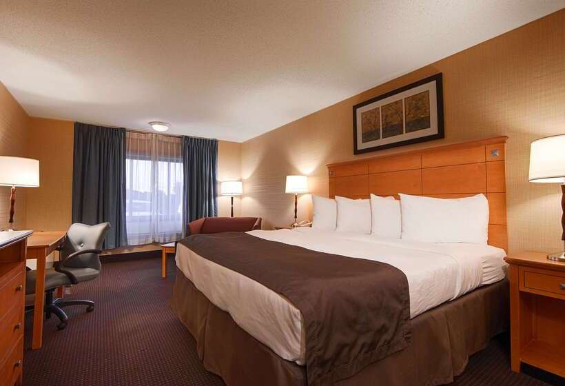 בית מלון כפרי Best Western Danbury/bethel