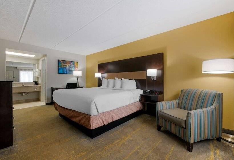 בית מלון כפרי Best Western Inn Of Palatka