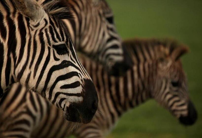 בית מלון כפרי Brijuni Rooms Karmen