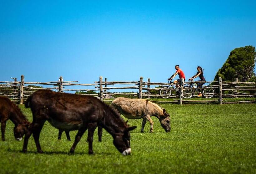 בית מלון כפרי Brijuni Rooms Karmen