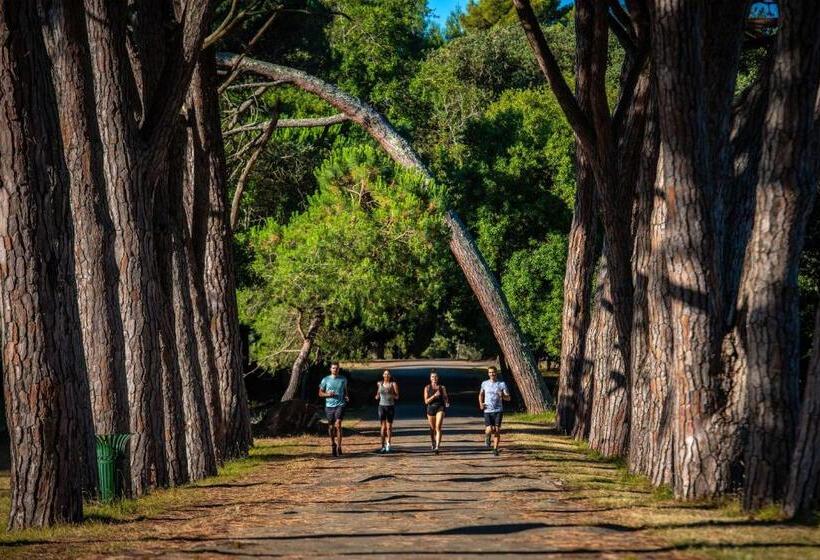 בית מלון כפרי Brijuni Rooms Karmen