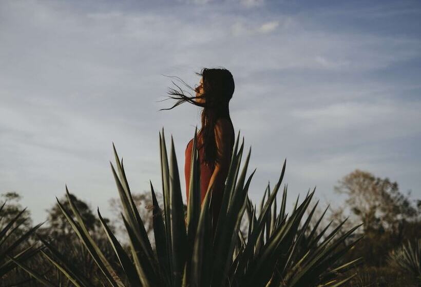 Отель Cape Grace, A Fairmont Managed