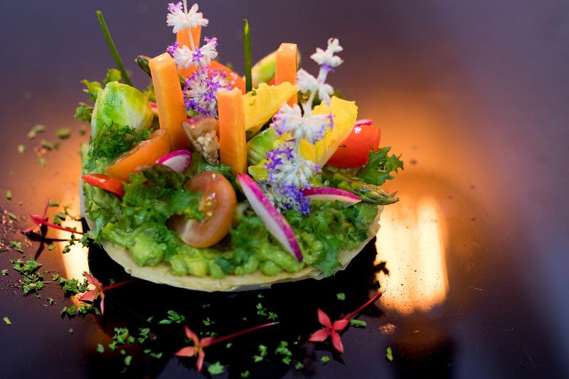 فندق Casa Velas Adults Only All Inclusive