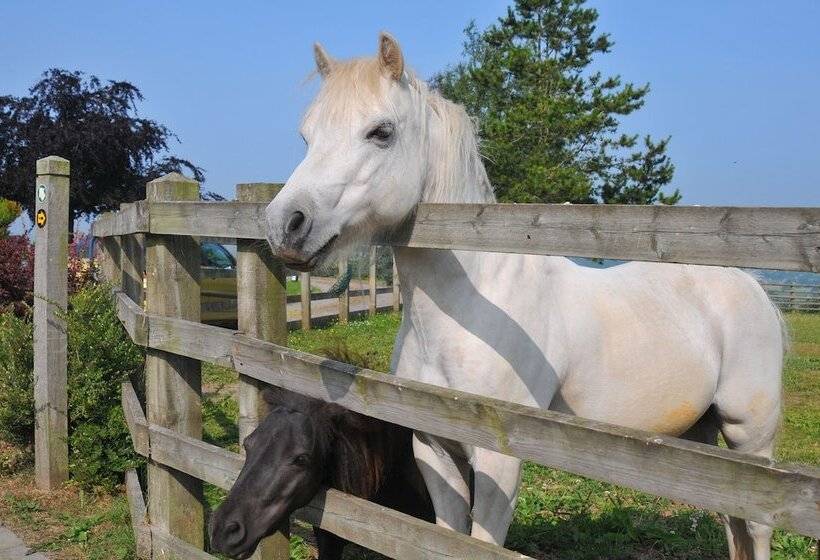 酒店 Edderton Hall Country House