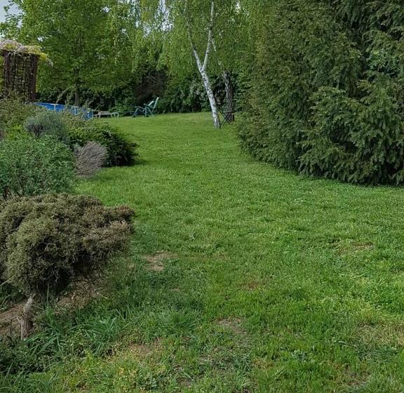 Отель Gombás Kúria Mansion Boutique B&b