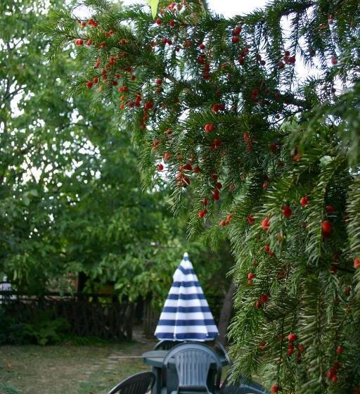 Отель Horváth Fogadó Panzió