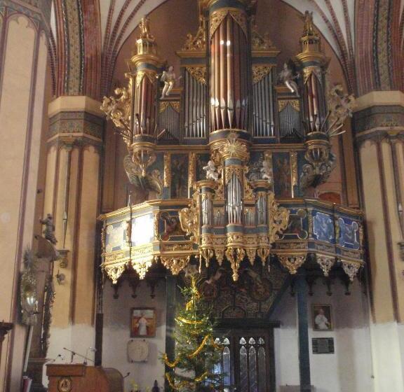 בית מלון כפרי Kopernik