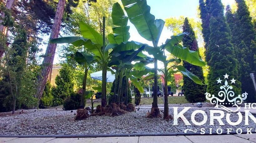 فندق Korona