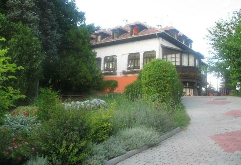 호텔 Krisztina Panzió