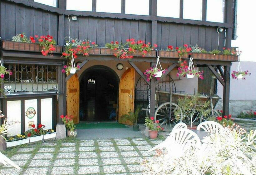 호텔 Krisztina Panzió