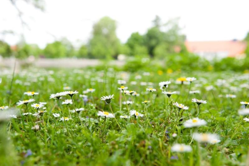 호텔 Landhaus Zu Den Rothen Forellen
