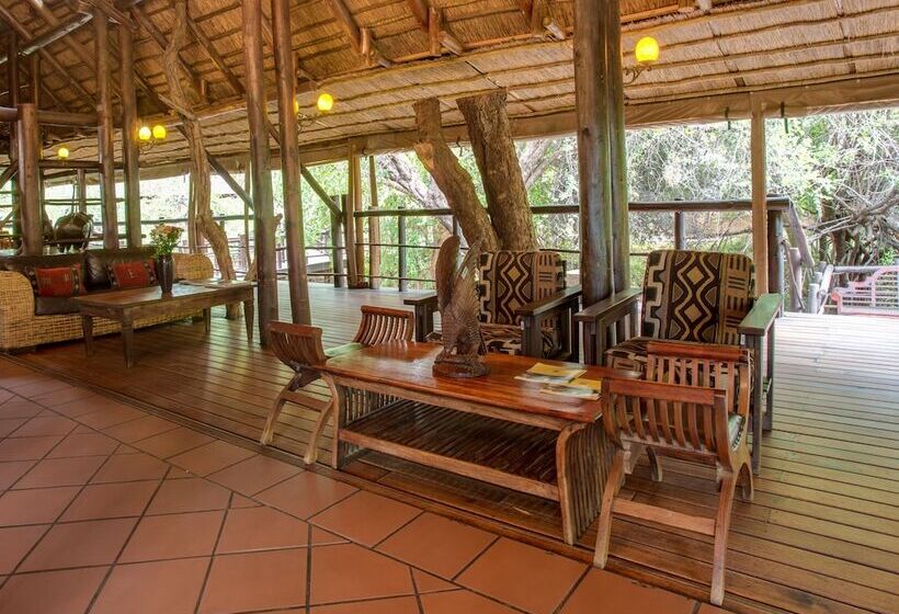 בית מלון כפרי Madikwe River Lodge