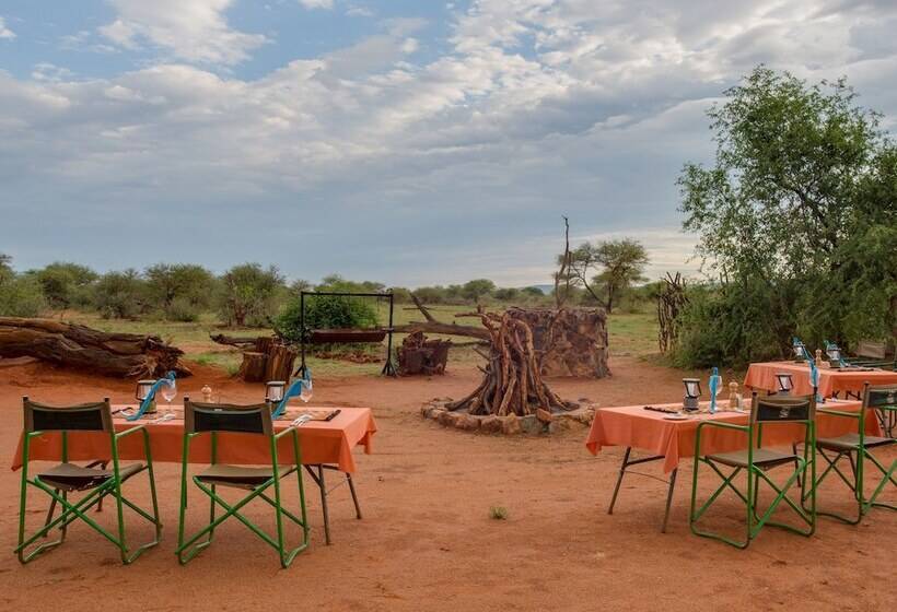 호텔 Madikwe River Lodge