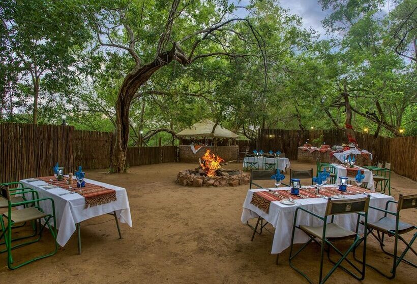 호텔 Madikwe River Lodge