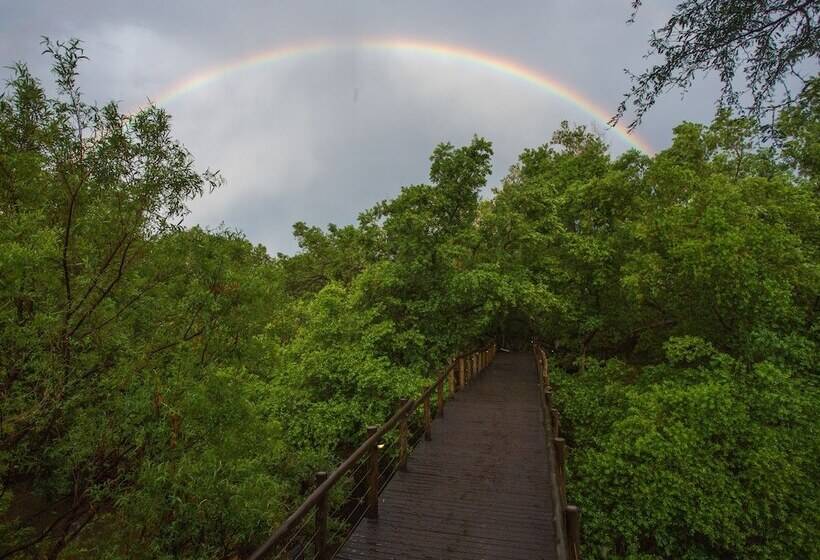 호텔 Madikwe River Lodge