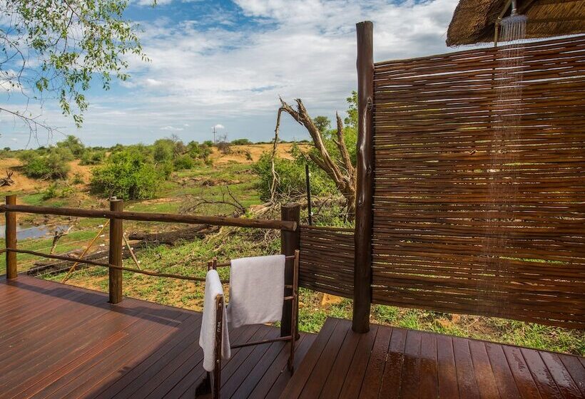 호텔 Madikwe River Lodge