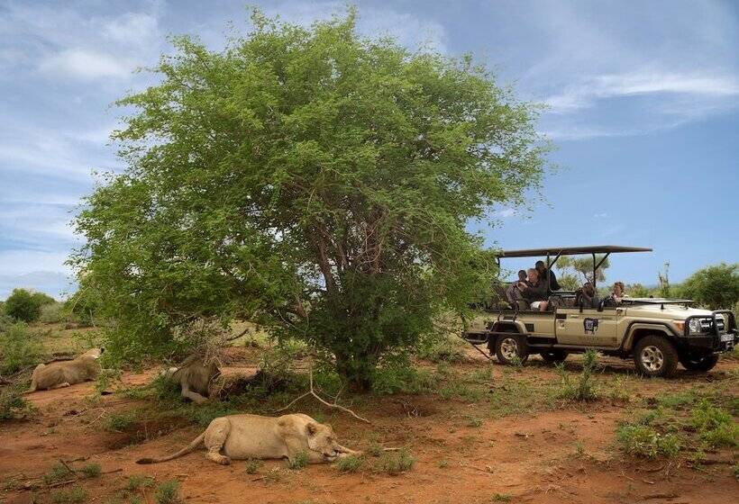 호텔 Madikwe River Lodge