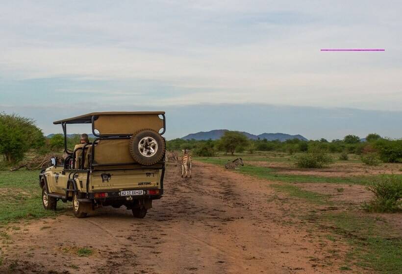 호텔 Madikwe River Lodge