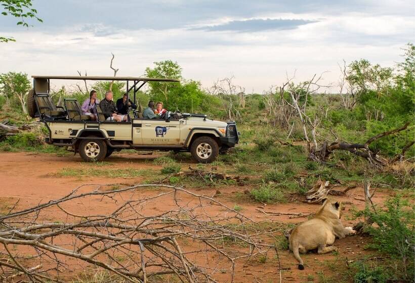호텔 Madikwe River Lodge